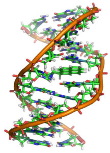 hibridizarea-ADN-ului
