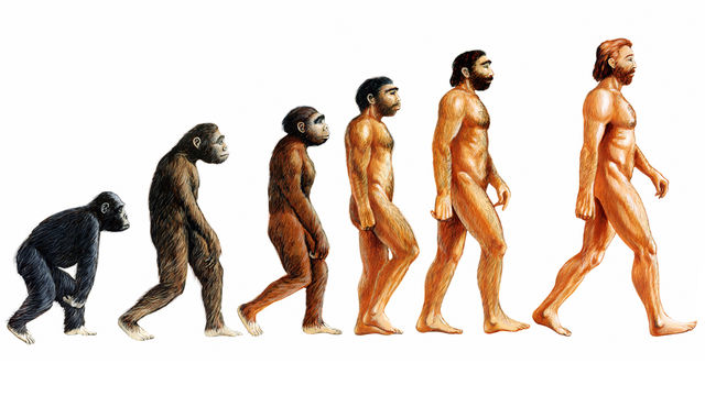 teoria evolutiei